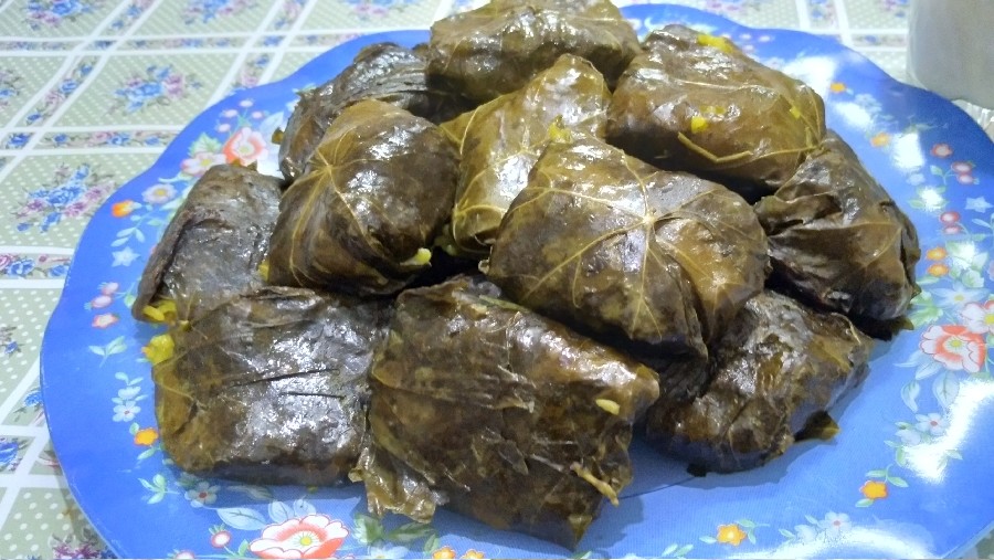 عکس دلمه برگ مو (لرستان)