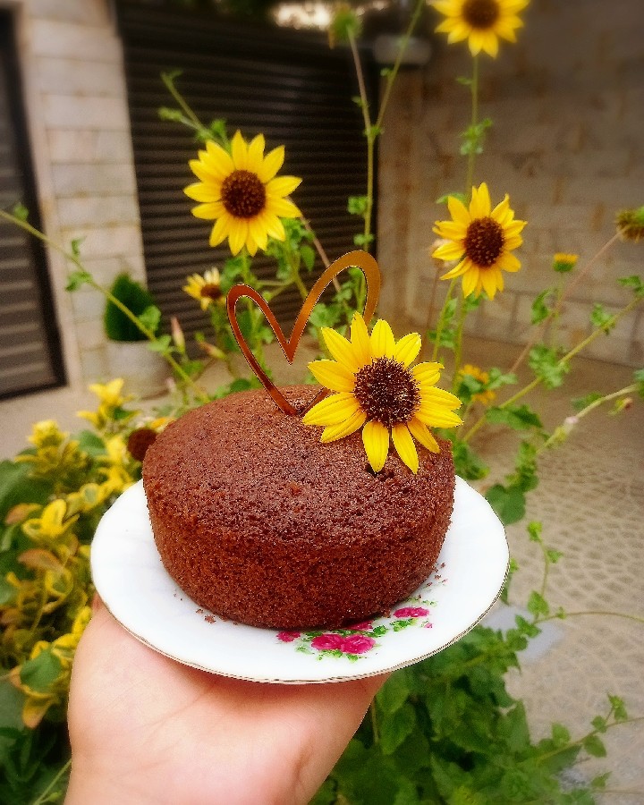 عکس کیک شکلاتی 