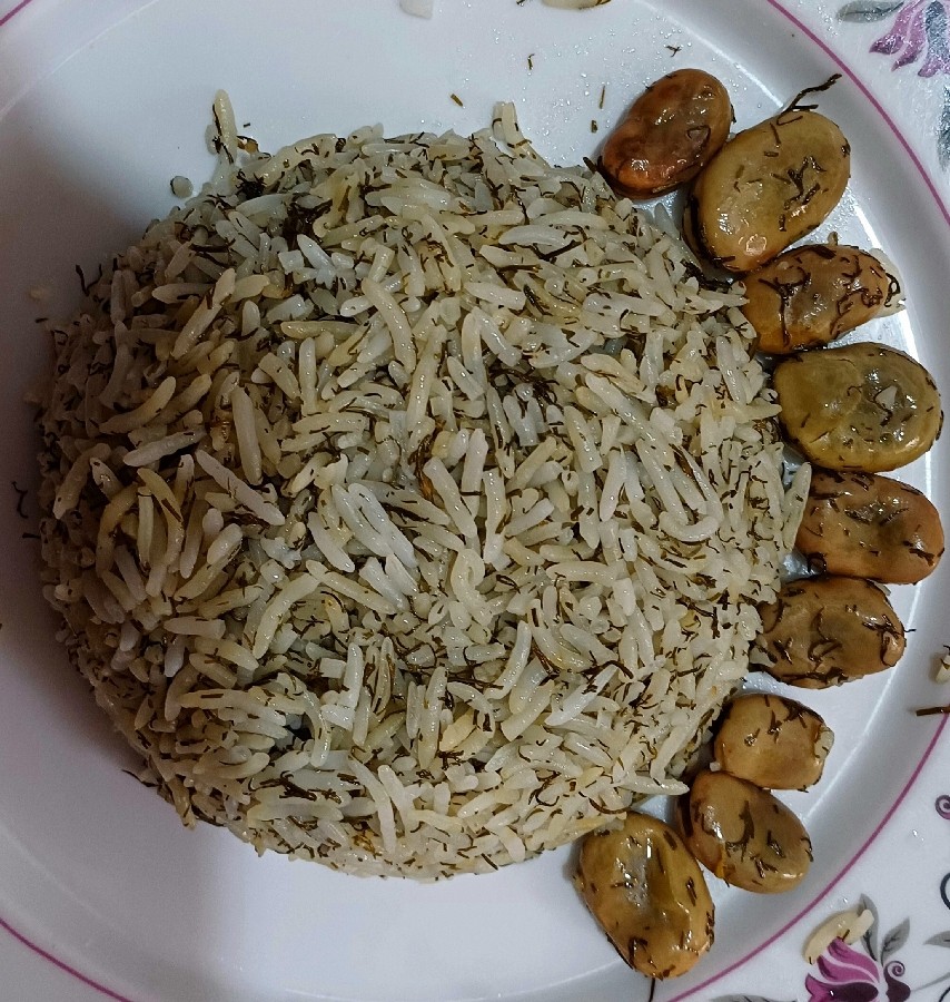 عکس مرغ 