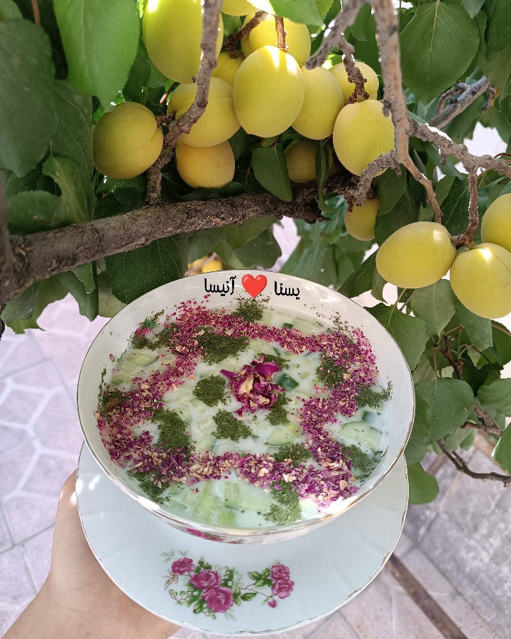 عکس آبدوغ خیار 