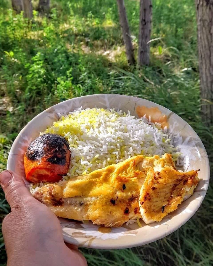 عکس درفضای سبز بیرون 
