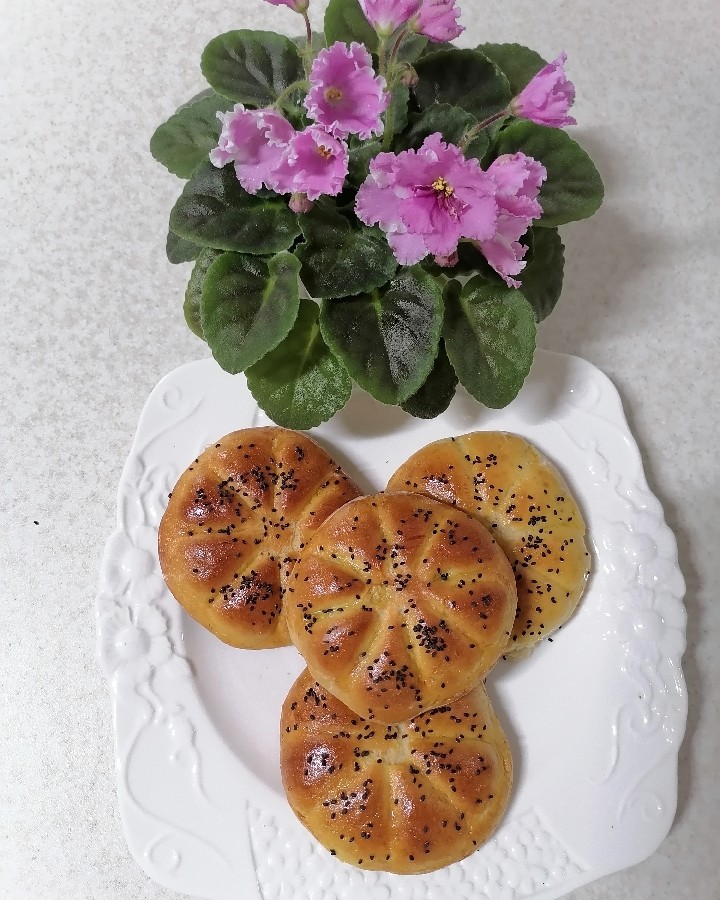 عکس کلوچه