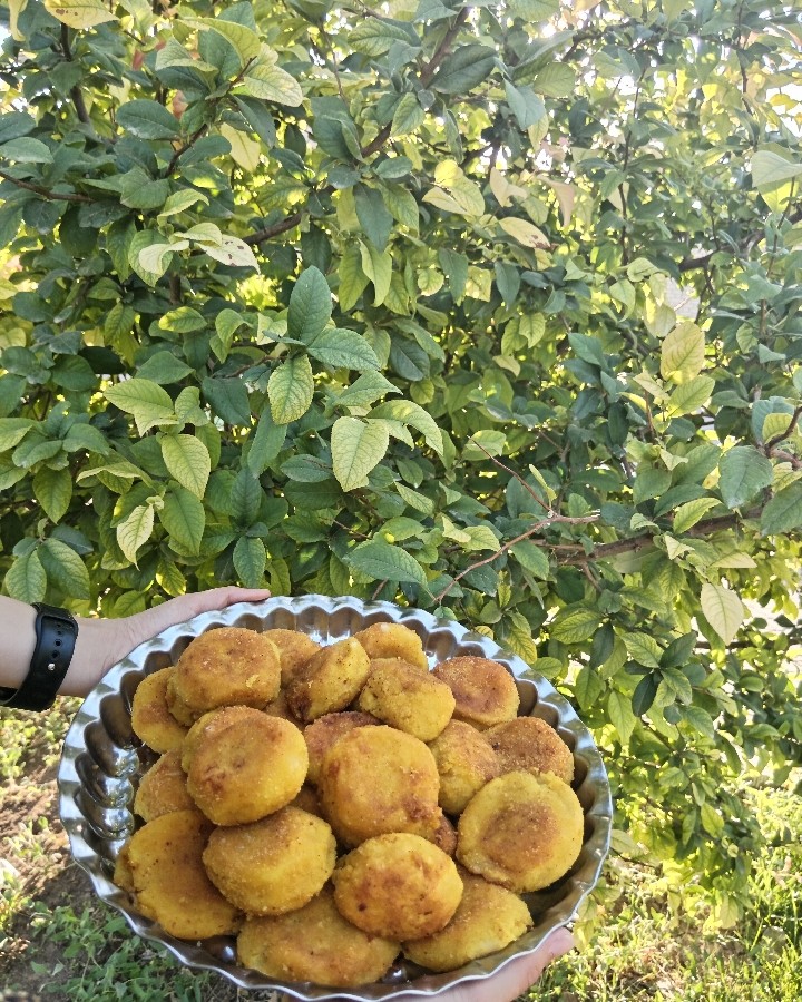 عکس توپک سیب زمینی