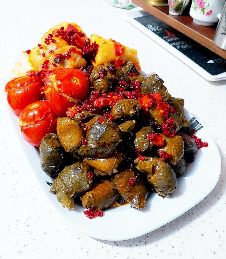 عکس دلمه
