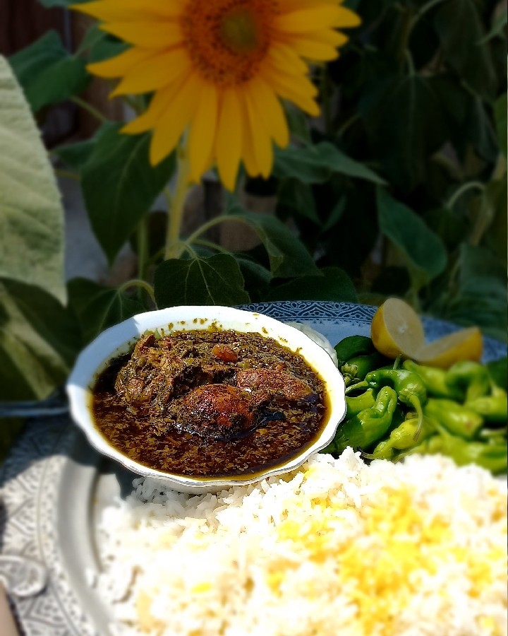 عکس قرمه سبزی ?