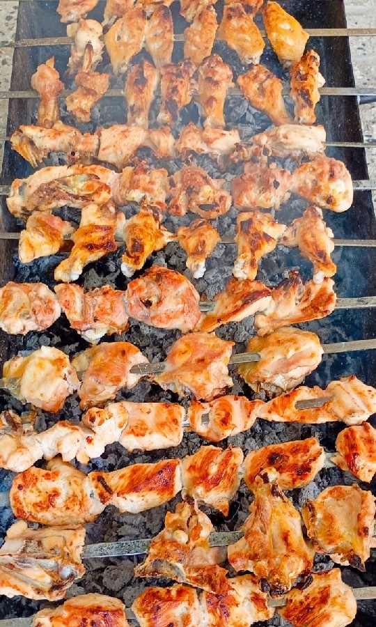 عکس کباب