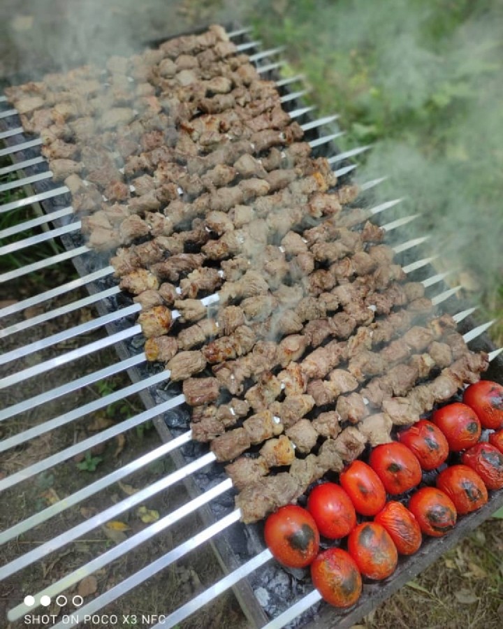 عکس کباب گوشت در طبیعت جاتون سبز❤️❤️❤️