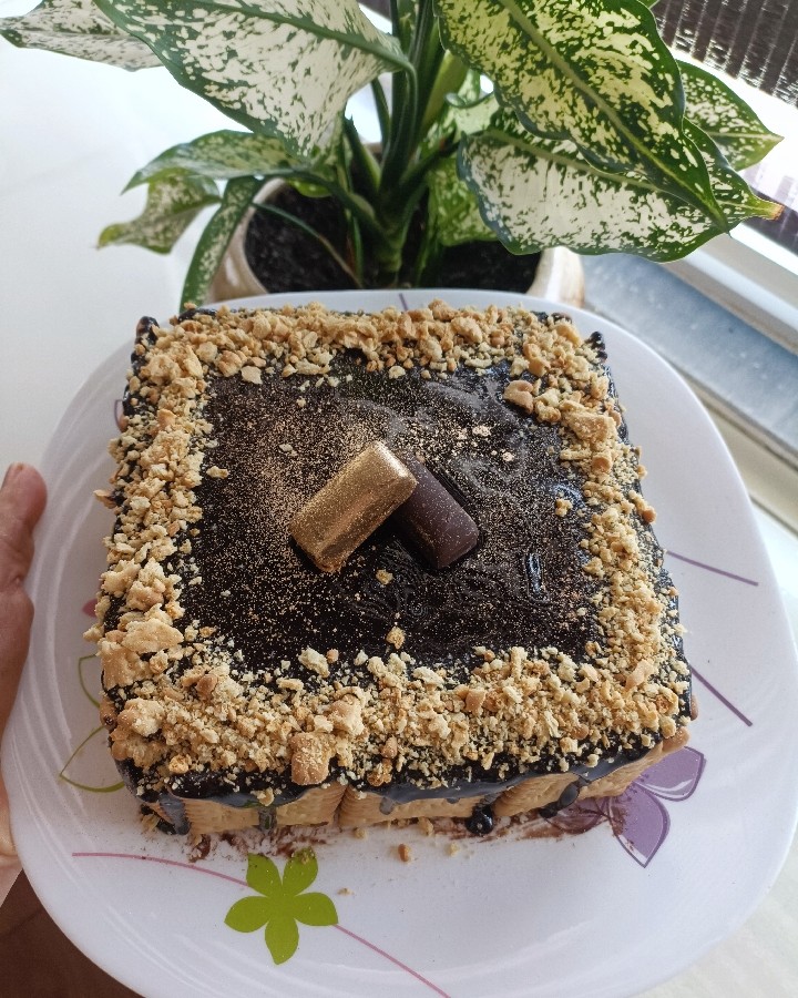 عکس کیک یخجالی و ژله 