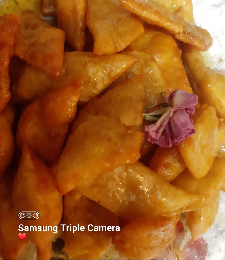 عکس گوش فیل 