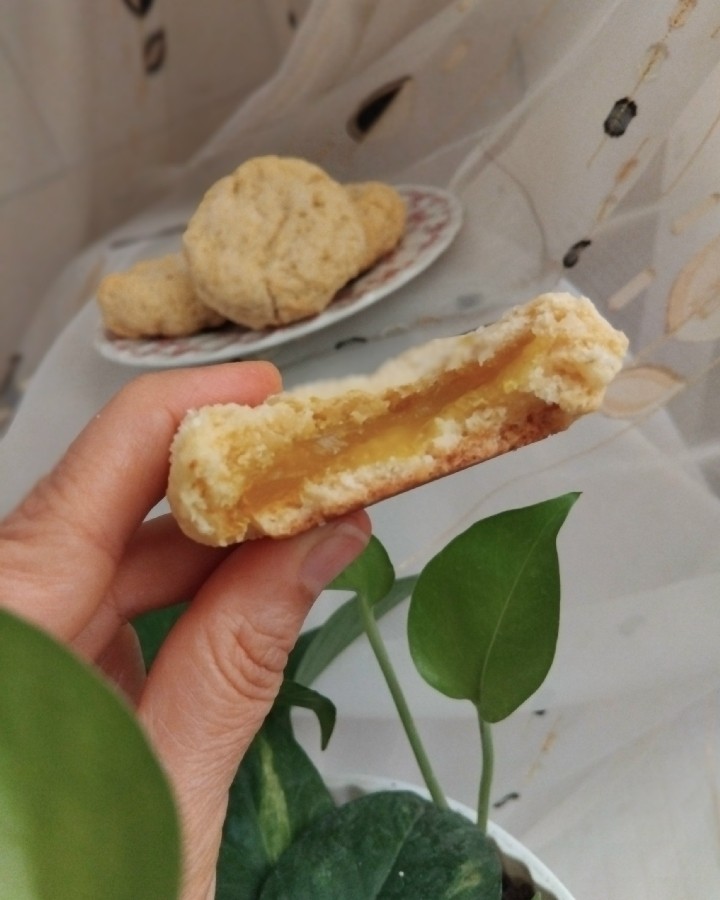 عکس کوکی لیمو