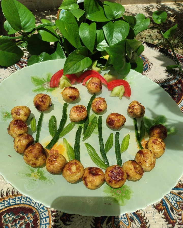 عکس توپک مرغ 