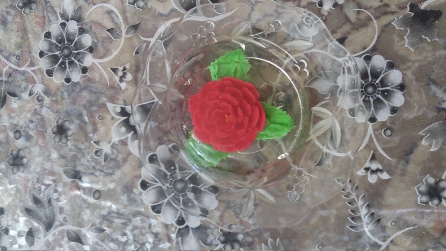 عکس دور همی دوستانه 