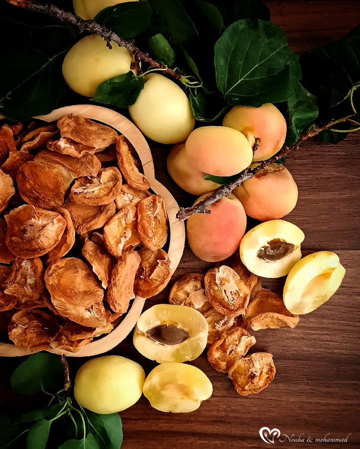 عکس برگه زردآلو