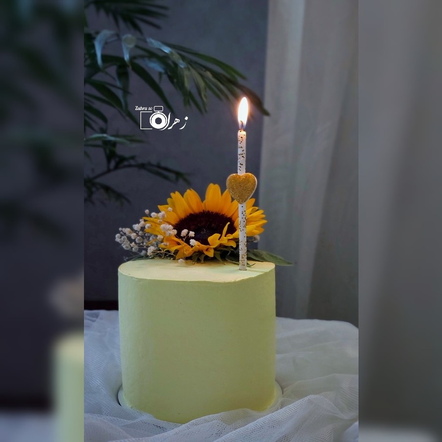 عکس کیک شیفون