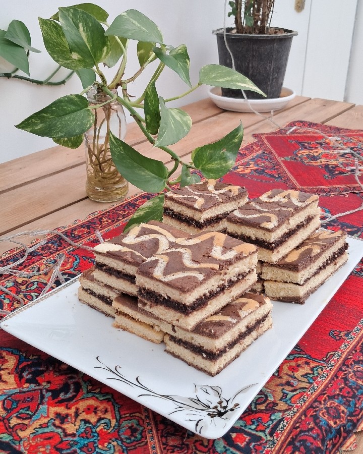 عکس تی تاب دو رنگ 