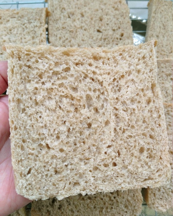 عکس نان تست جو 