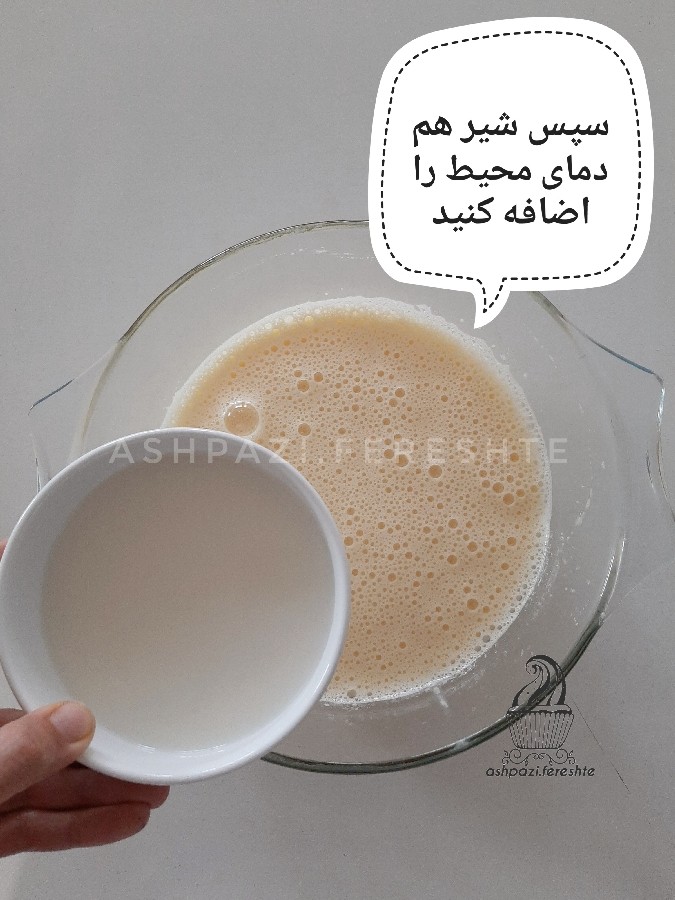 عکس کیک‌ کاسترد با کرم کاسترد
