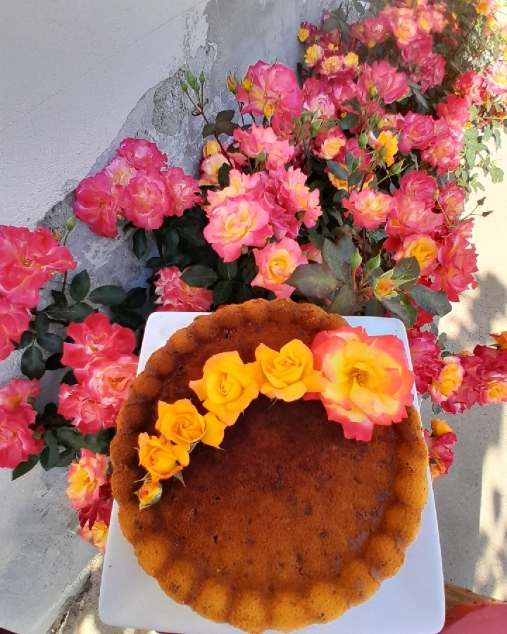 عکس کیک ساده