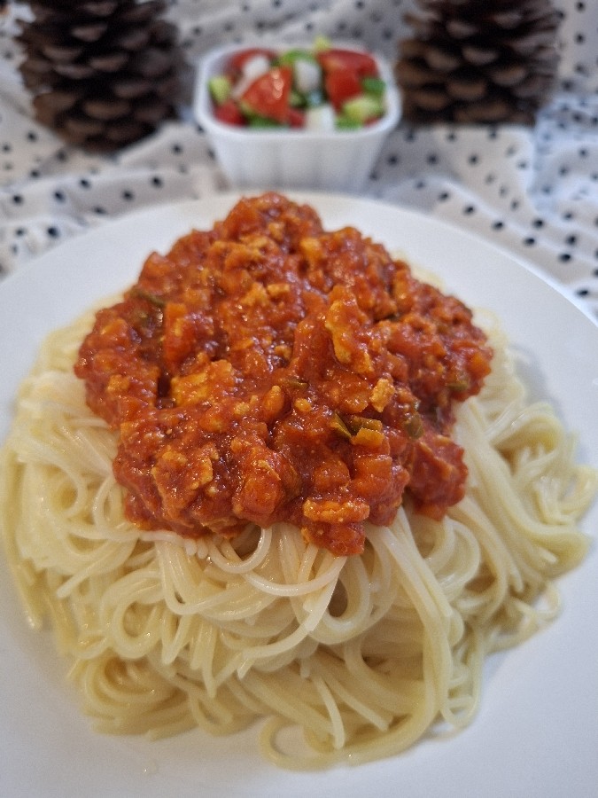عکس راگوی مرغ