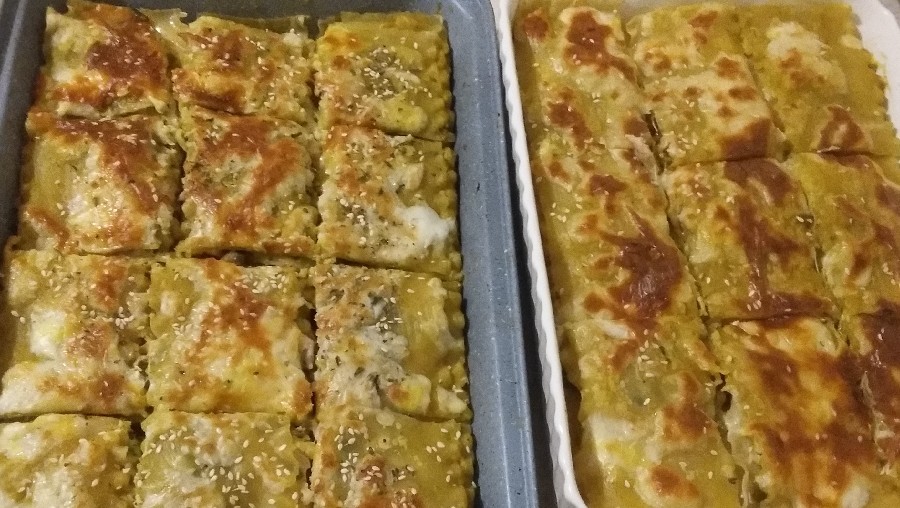 عکس لازانیا