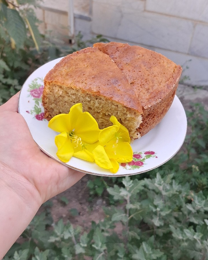 عکس کیک‌سیب‌وهل