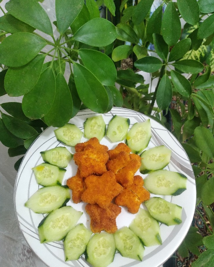 عکس ناگت مرغ#