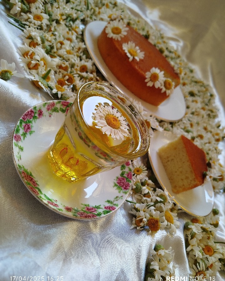 عکس چای بابونه