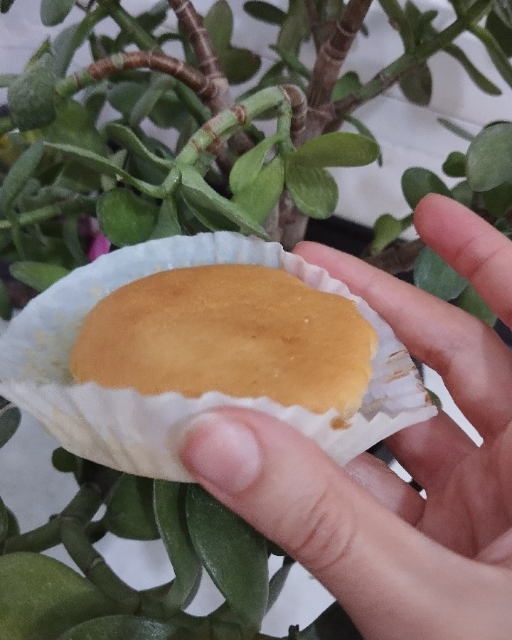 عکس کیک همه کاره 
