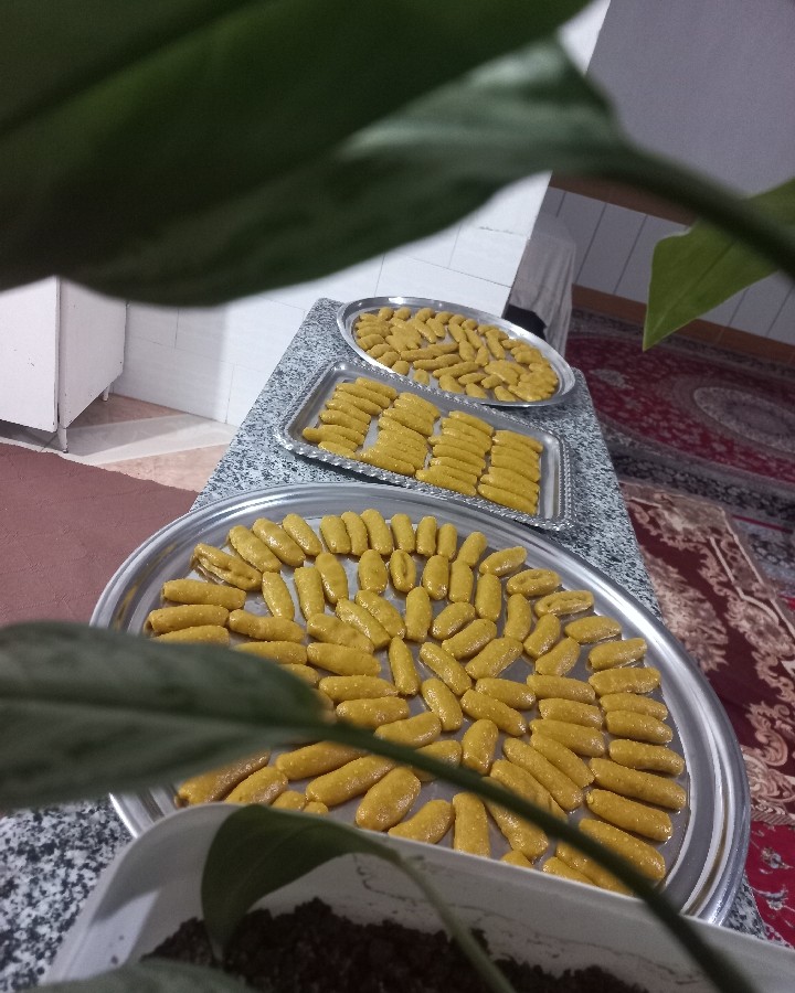 عکس برساق