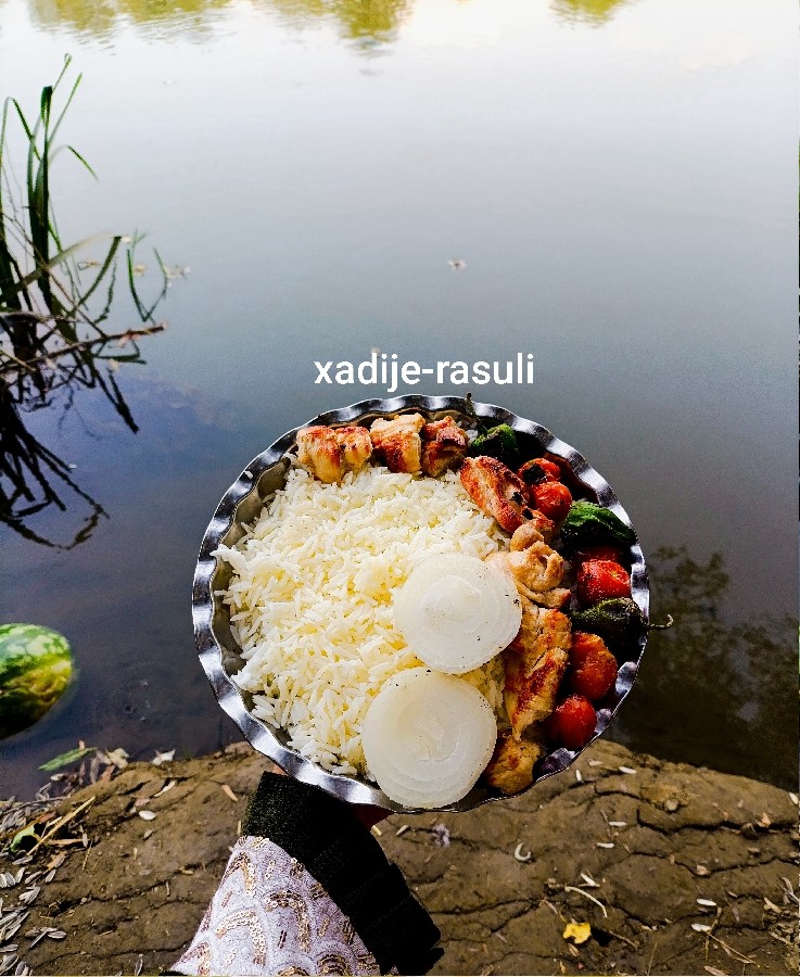 عکس جوجه 