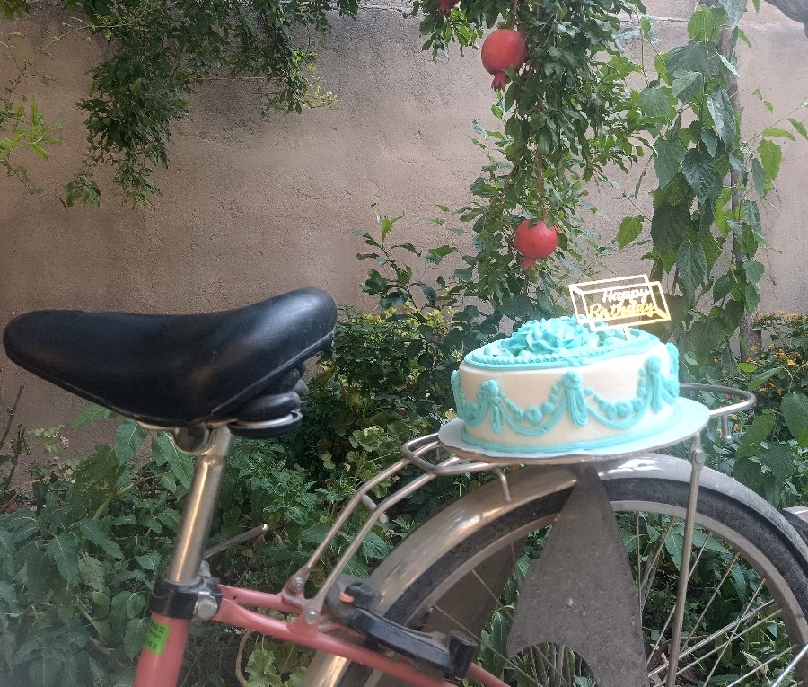 عکس کیک اسفنجی 