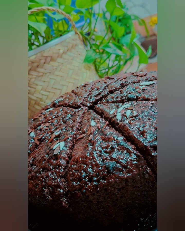 عکس کیک خیس شکلاتی