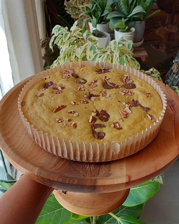 عکس کیکی رژیمی
