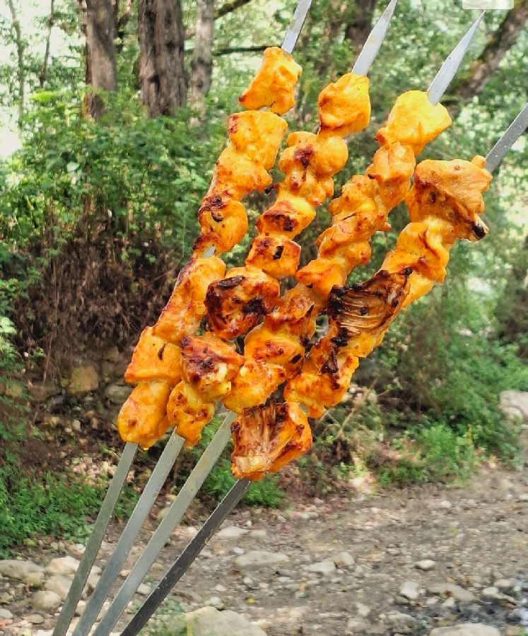 عکس جوجه کباب