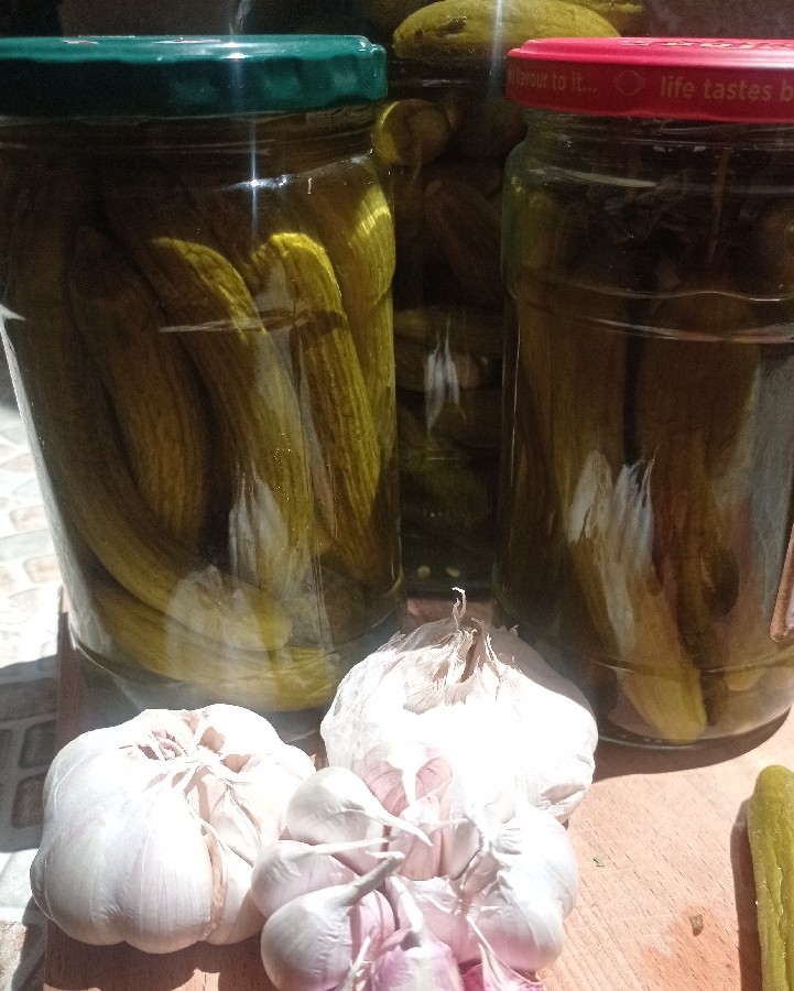 عکس خیارشور خانگی 
