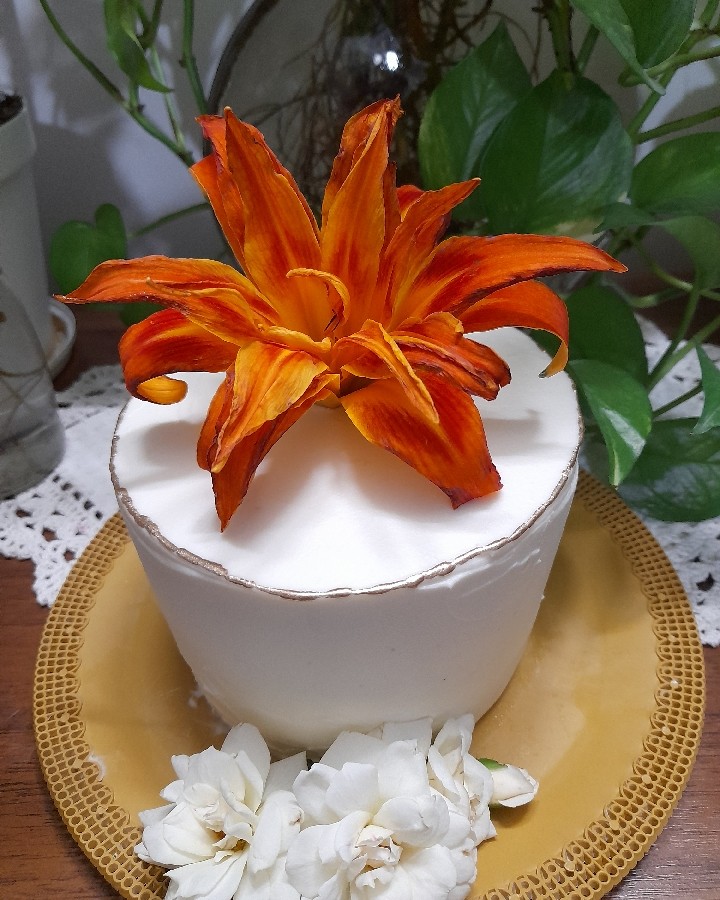 عکس کیک های من