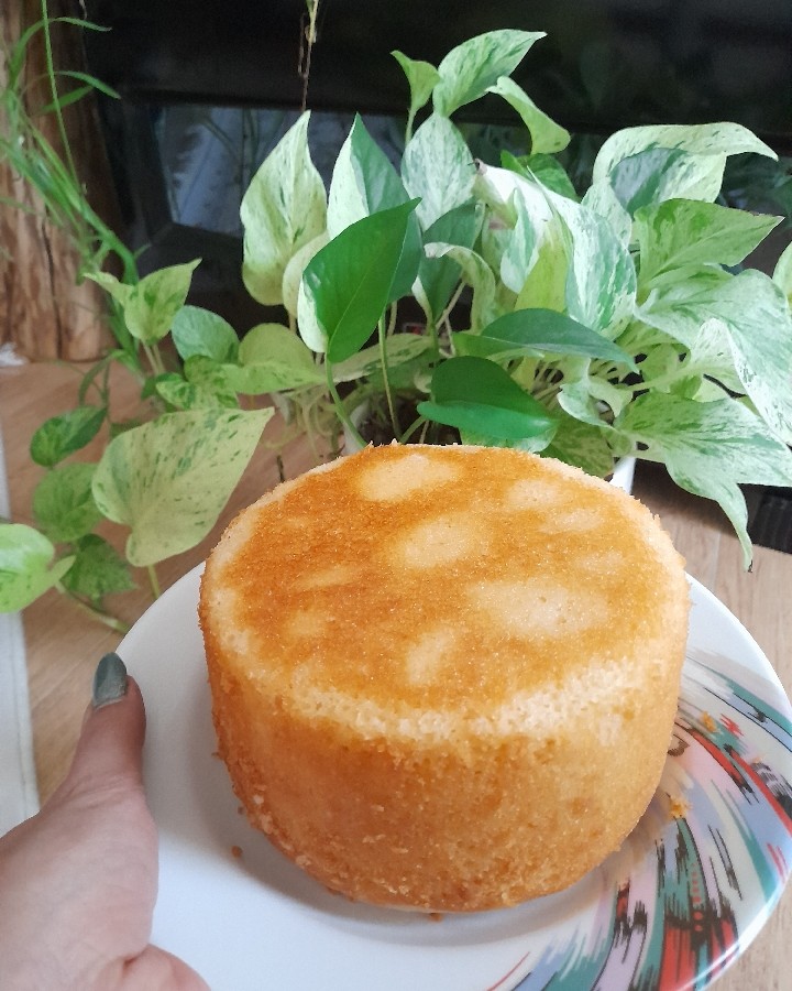 عکس کیک(کافی شاپی)