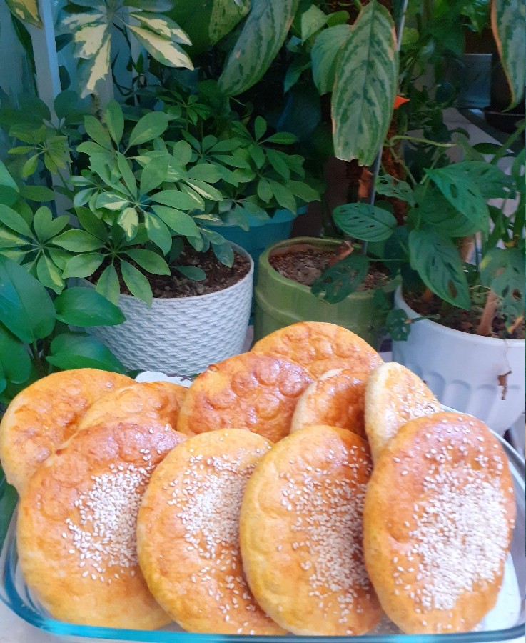 عکس باز نان رژیمی