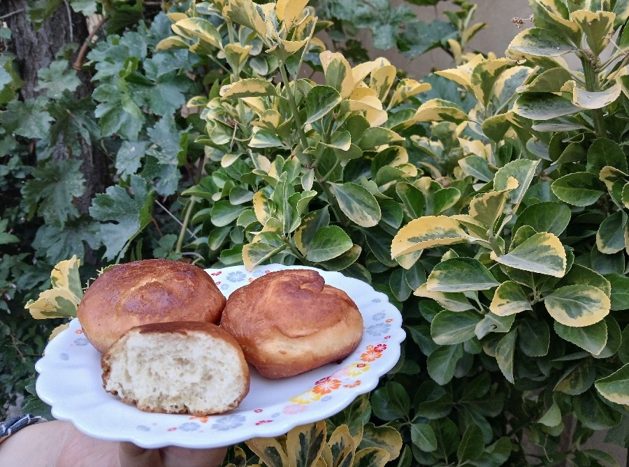 عکس ? دونات