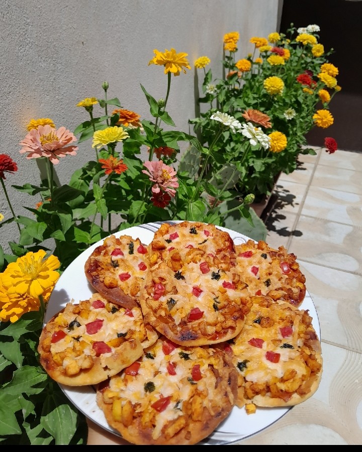 عکس مینی پیترا
