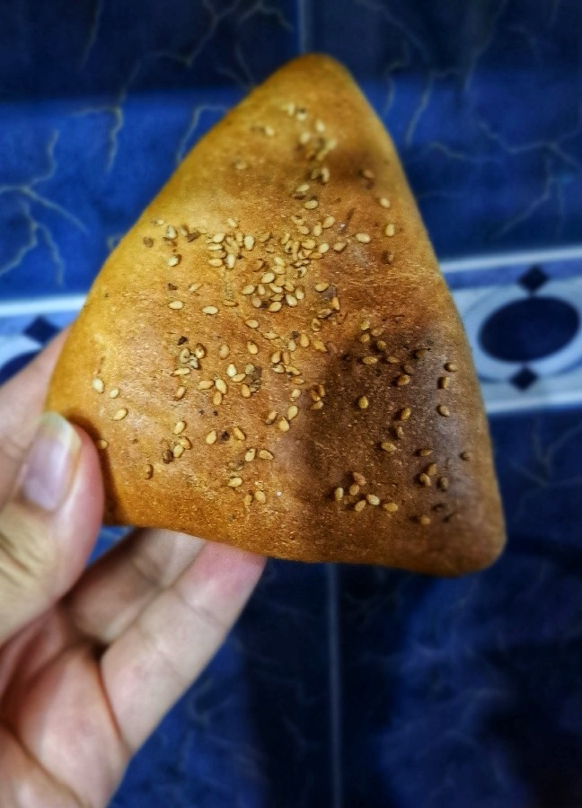عکس پیراشکی گوشت