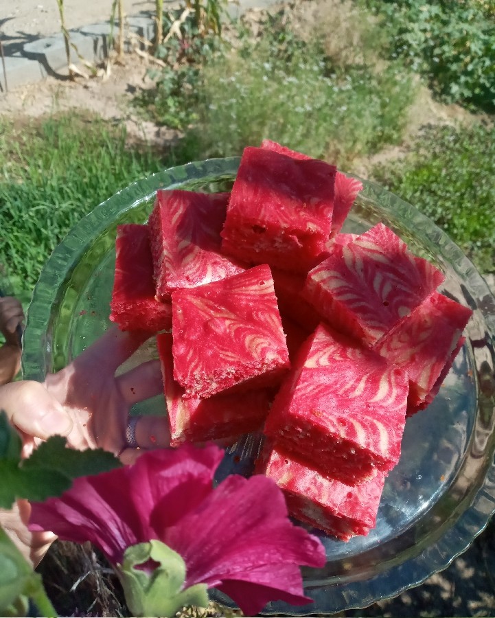 عکس کیک زبرا