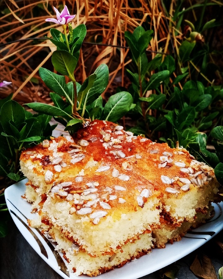 عکس کیک‌ تخته ای