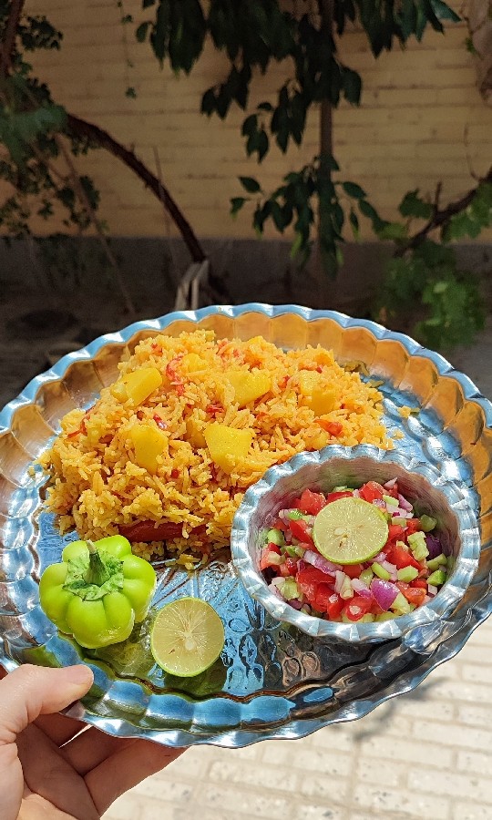 عکس دمی گوجه 