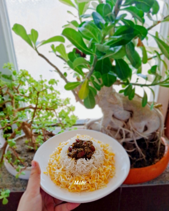 عکس قورمه سبزی