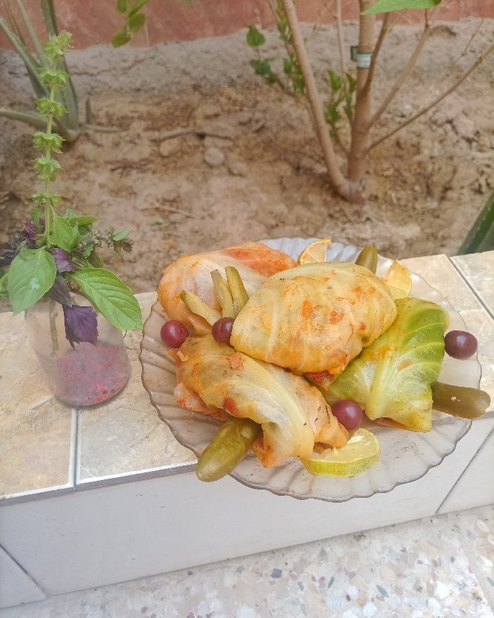 عکس دلمه کلم برگ 
