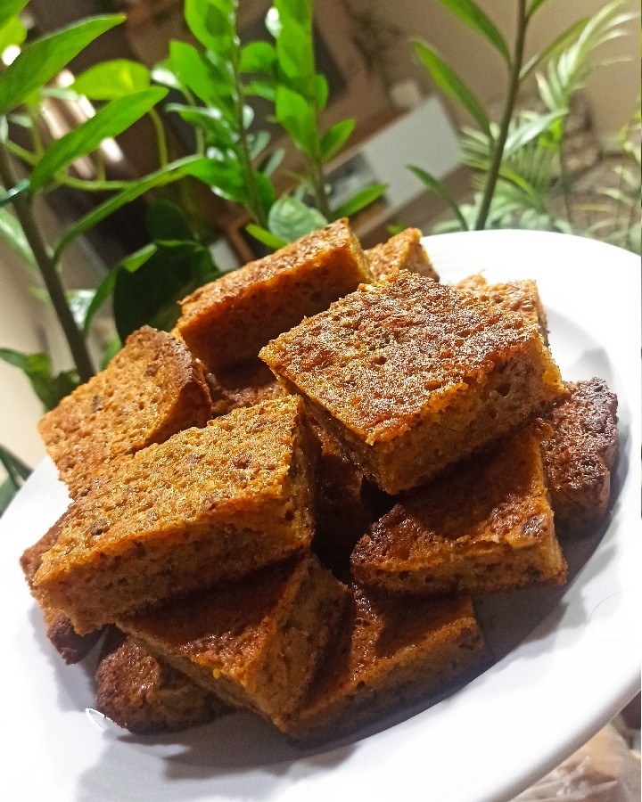 عکس روزمرگی