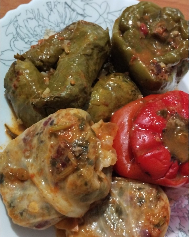 عکس دلمه 