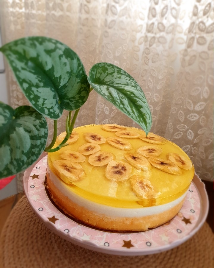 عکس کیک با رویه ژله ای