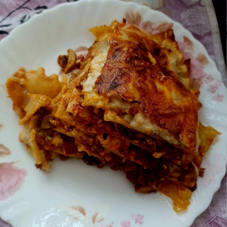 عکس لازانیا